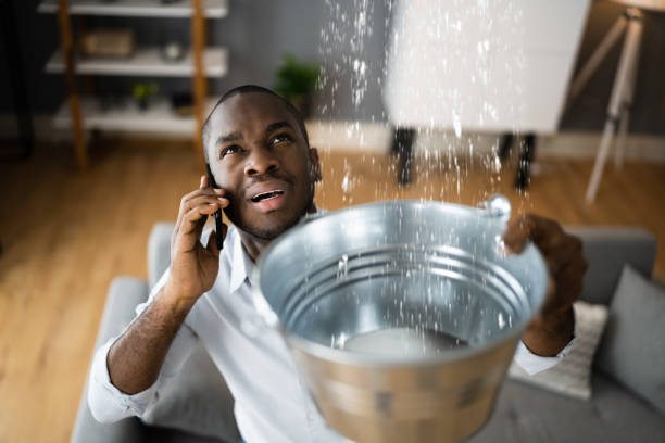 Best Commercial water damage restoration  in Watertown, MN