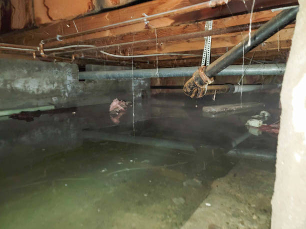 Watertown, MN Water damage restoration Company