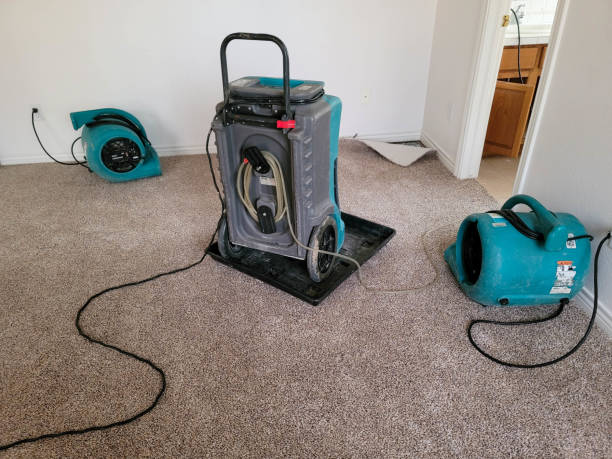 Best Emergency water damage restoration  in Watertown, MN