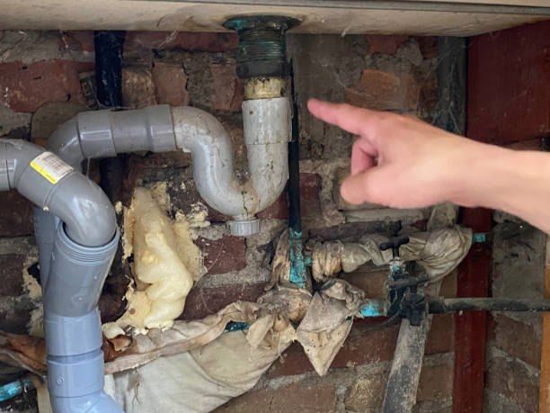 Best Water damage contractors near me  in Watertown, MN