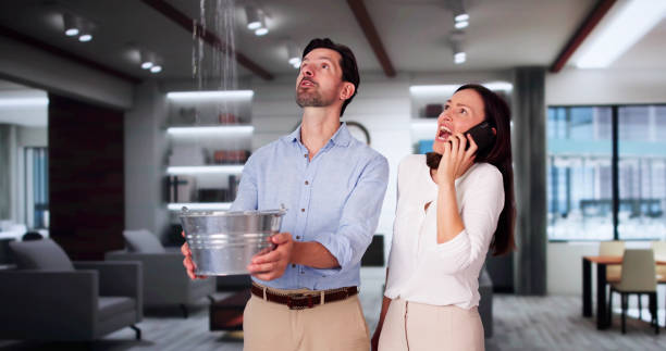 Best Water damage restoration mold remediation  in Watertown, MN